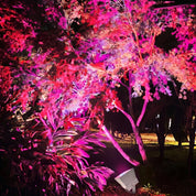 RGB LED Außenstrahler Wasserdicht für Garten und Landschaftsbeleuchtung