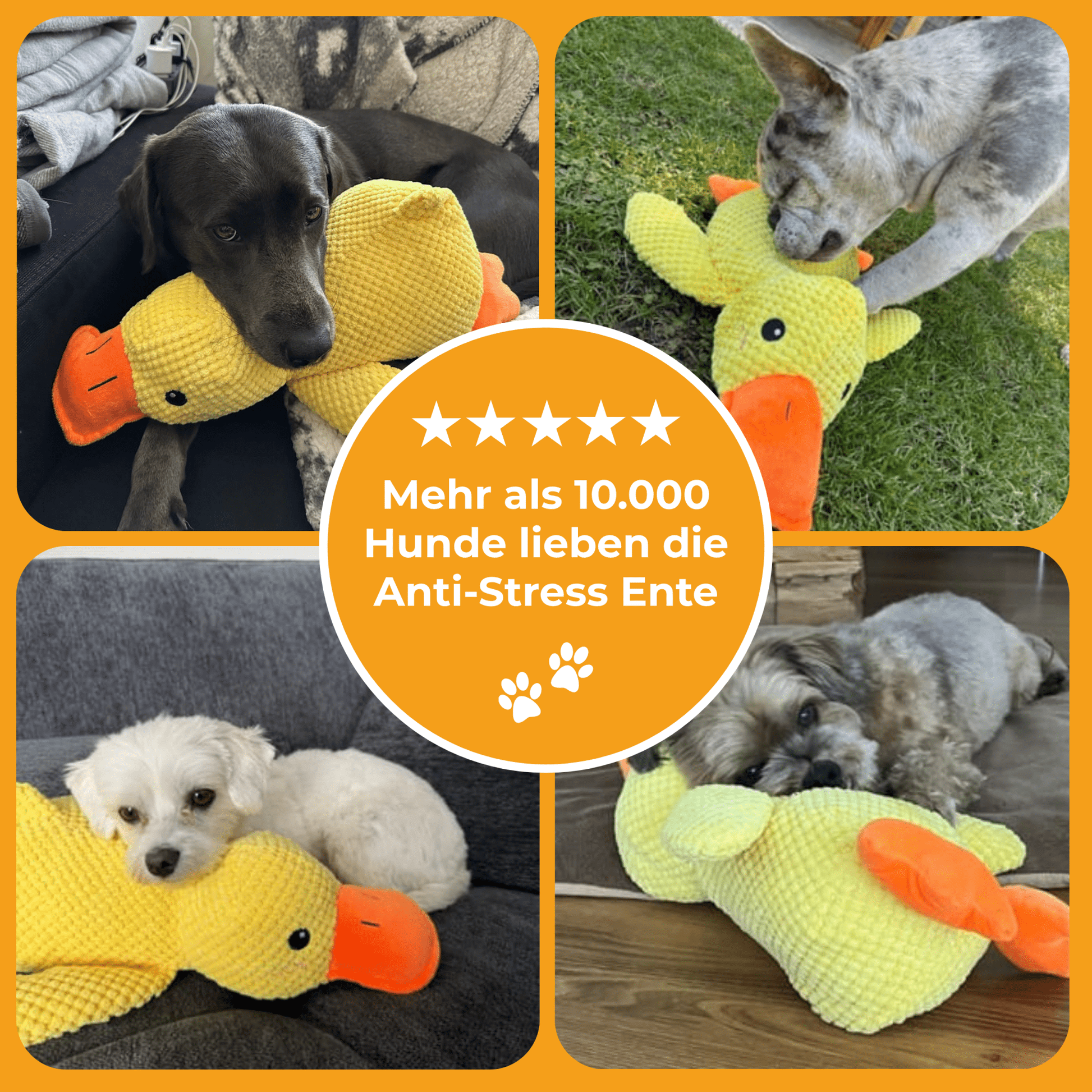 Anti - Stress Ente - Beruhigendes Stressspielzeug für Büro und Zuhause - Voldeva