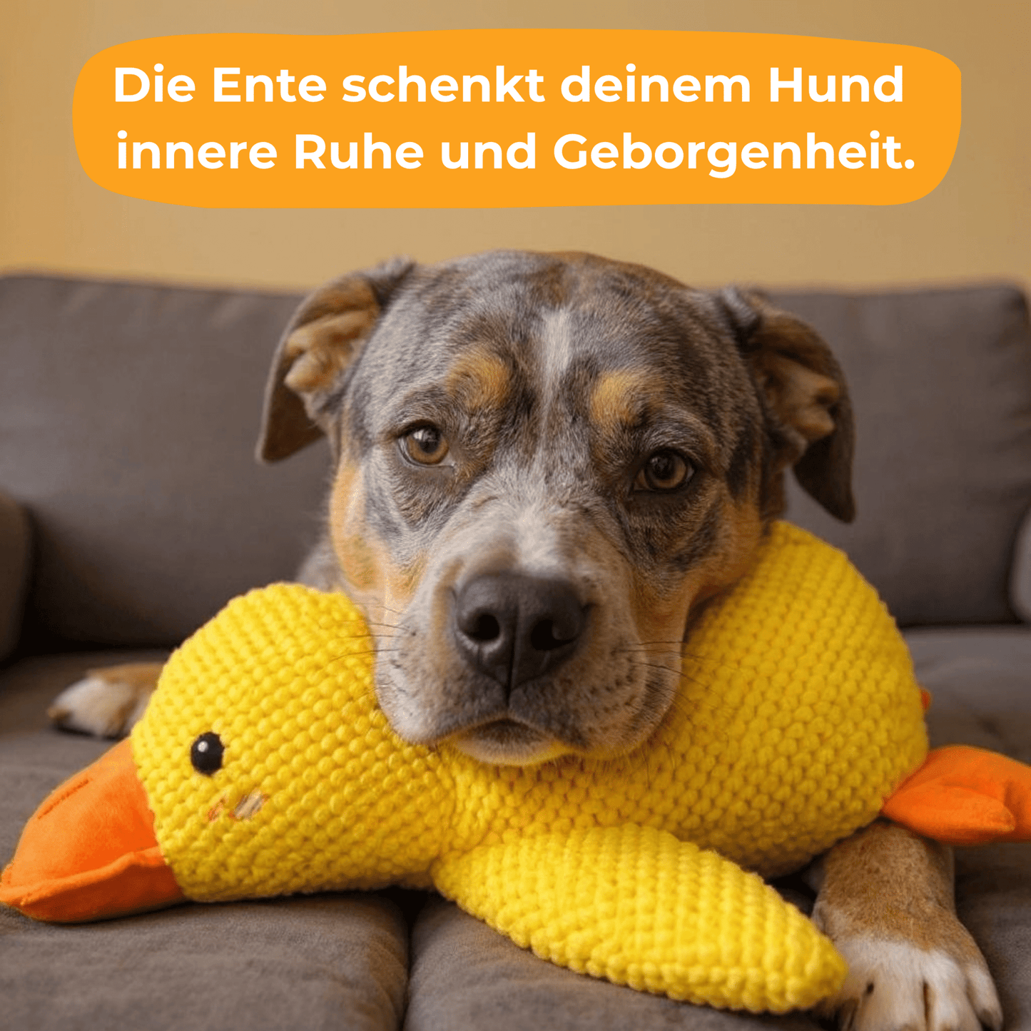Anti - Stress Ente - Beruhigendes Stressspielzeug für Büro und Zuhause - Voldeva