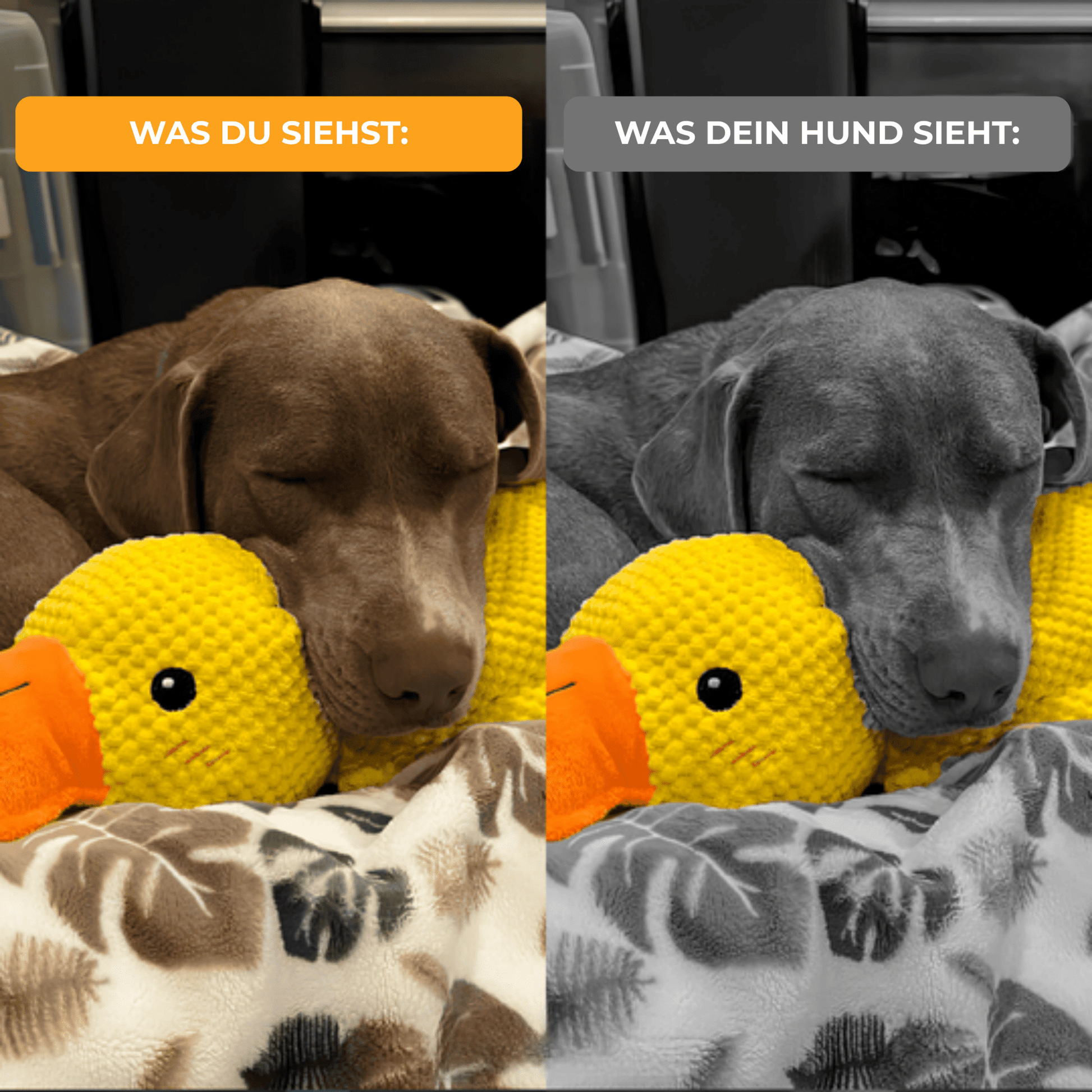 Anti - Stress Ente - Beruhigendes Stressspielzeug für Büro und Zuhause - Voldeva