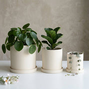 Blumentopf Zylindrisch Modern - Töpfe - Weiß - Voldeva