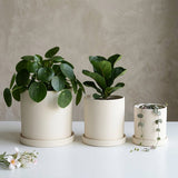 Blumentopf Zylindrisch Modern
