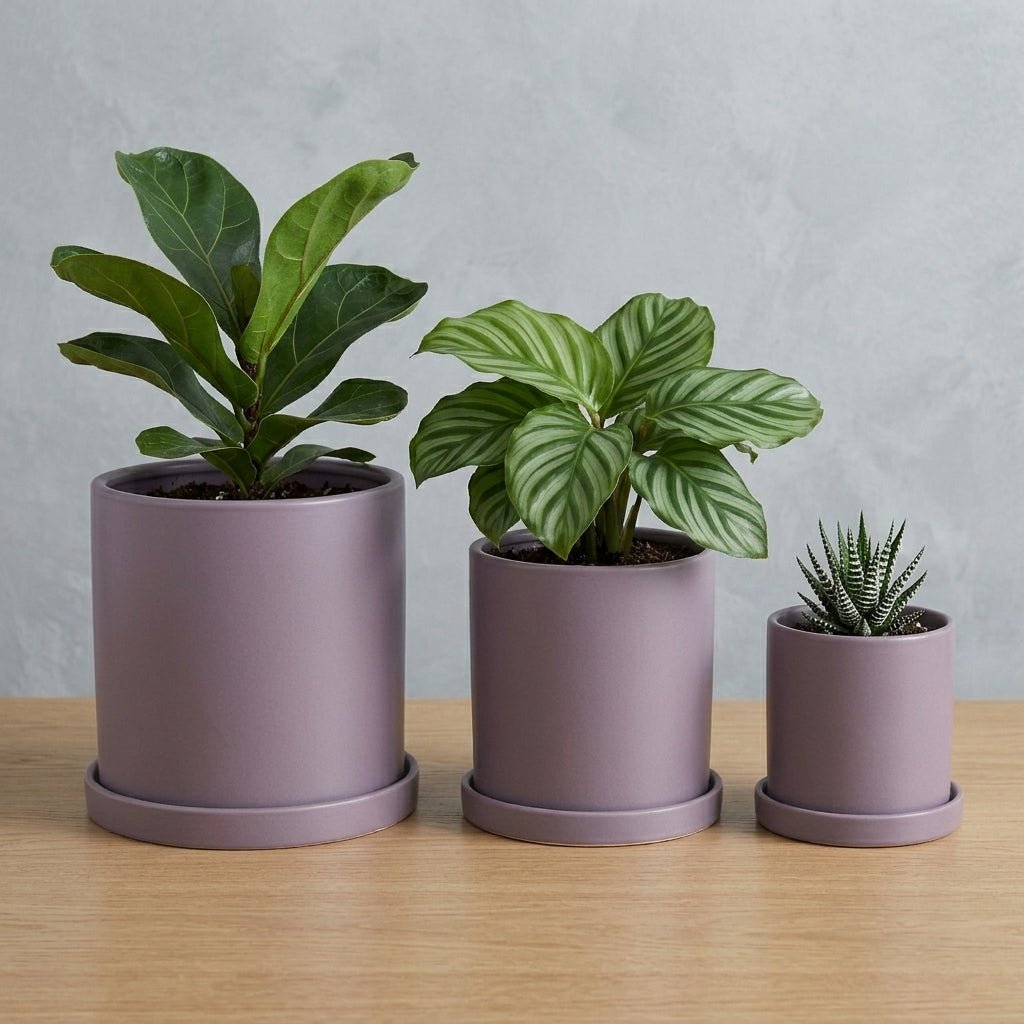 Blumentopf Zylindrisch Modern - Töpfe - Violett - Voldeva