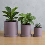 Blumentopf Zylindrisch Modern