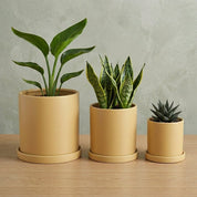 Blumentopf Zylindrisch Modern - Töpfe - Gelb - Voldeva