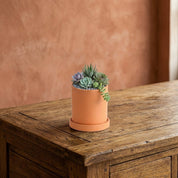 Blumentopf Zylindrisch Modern - Töpfe - Orange - Voldeva