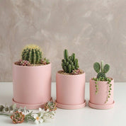 Blumentopf Zylindrisch Modern - Töpfe - Rosa - Voldeva