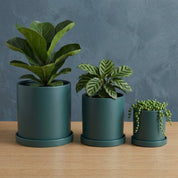 Blumentopf Zylindrisch Modern - Töpfe - Blau - Voldeva