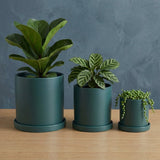 Blumentopf Zylindrisch Modern