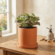 Blumentopf Zylindrisch Modern - Töpfe - Orange - Voldeva