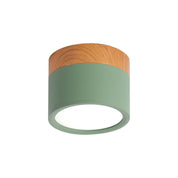 Deckenleuchte im minimalistischen Zylinder - Design - Deckenleuchte - Grün - Voldeva