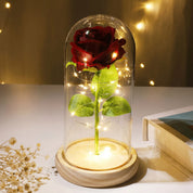 Flore – Rose in Glaskuppel mit LED - Beleuchtung - Dekorationen - Dunkelrot - Voldeva