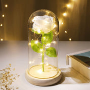 Flore – Rose in Glaskuppel mit LED - Beleuchtung - Dekorationen - Helles Weiß - Voldeva