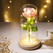 Flore – Rose in Glaskuppel mit LED - Beleuchtung - Dekorationen - Rosa - Voldeva