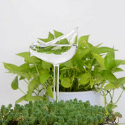 Glas Selbstbewässerungsfigur für Zimmerpflanzen - Selbstbewässerndes Glas - Vogel - Voldeva