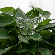 Glas Selbstbewässerungsfigur für Zimmerpflanzen - Selbstbewässerndes Glas - Schmetterling - Voldeva