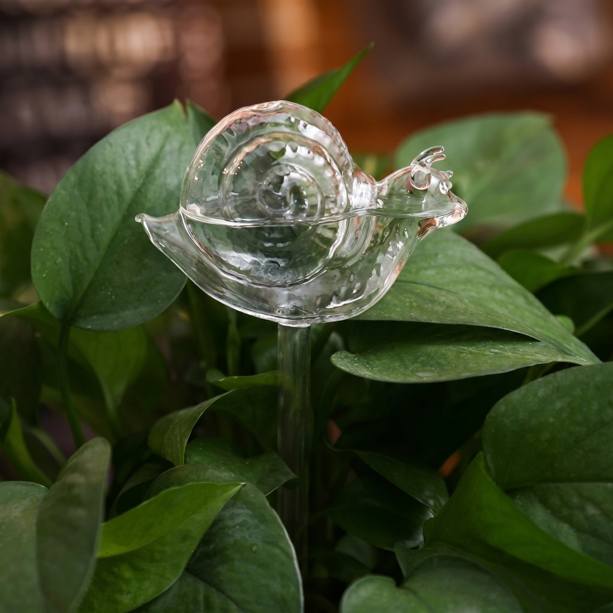 Glas Selbstbewässerungsfigur für Zimmerpflanzen - Selbstbewässerndes Glas - Schnecke - Voldeva