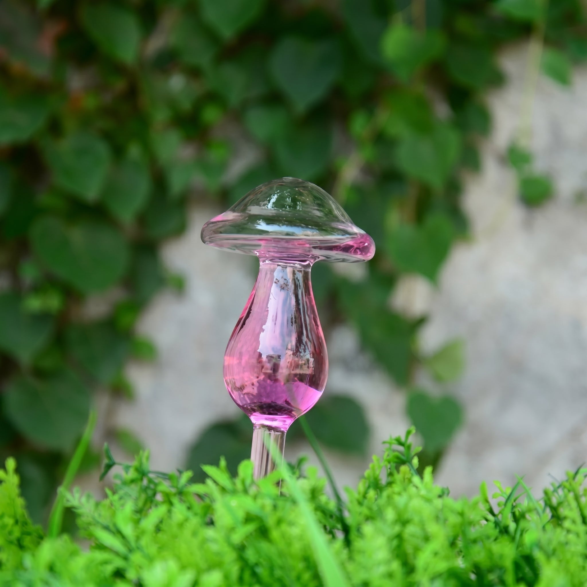 Glas Selbstbewässerungsfigur für Zimmerpflanzen - Selbstbewässerndes Glas - Pilz - Voldeva