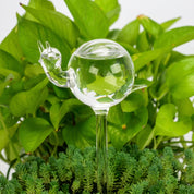 Glas Selbstbewässerungsfigur für Zimmerpflanzen - Selbstbewässerndes Glas - Schnecke - Voldeva