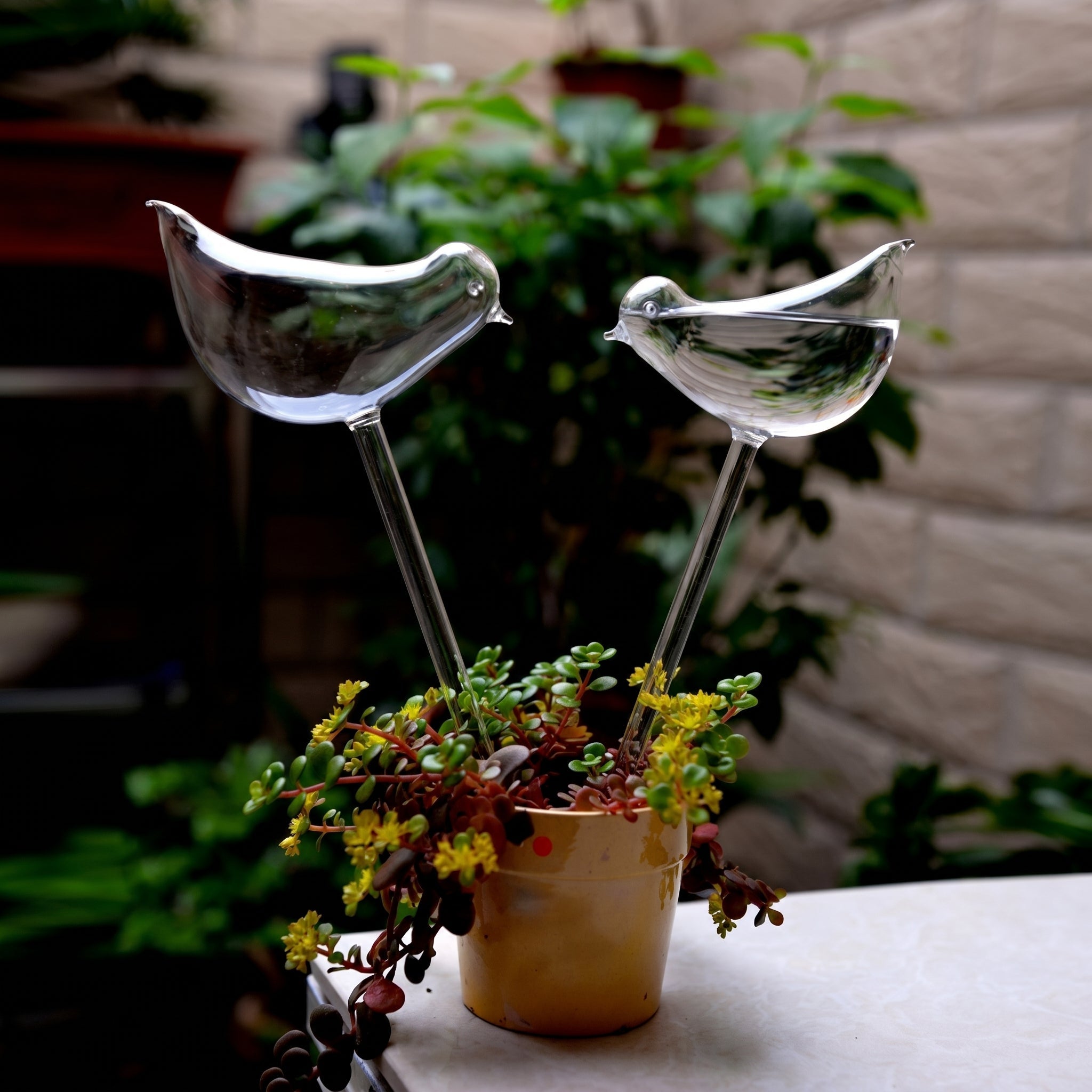 Glas Selbstbewässerungsfigur für Zimmerpflanzen - Selbstbewässerndes Glas - Vogel - Voldeva