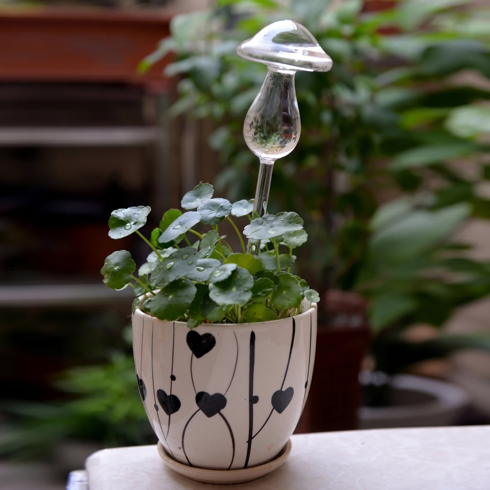 Glas Selbstbewässerungsfigur für Zimmerpflanzen - Selbstbewässerndes Glas - Pilz - Voldeva