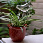 Glas Selbstbewässerungsfigur für Zimmerpflanzen - Selbstbewässerndes Glas - Vogel - Voldeva