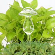 Glas Selbstbewässerungsfigur für Zimmerpflanzen - Selbstbewässerndes Glas - Pilz - Voldeva