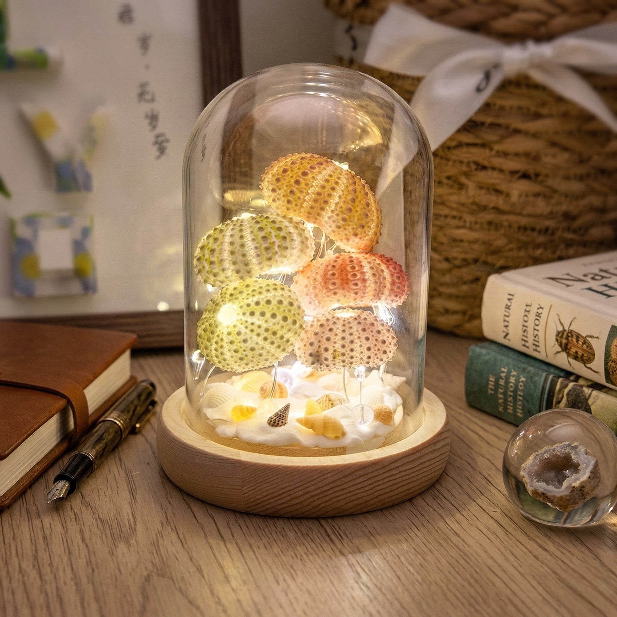 Handgefertigte DIY Igel - Nachtleuchte unter Glaskuppel - Nachtleuchte - Voldeva