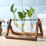 Hydroponik Glasvase mit Holzständer für Pflanzen - Vasen - Braun - Voldeva