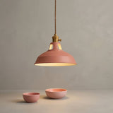 Industrielle Pendelleuchte im bunten Dome-Design