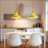 Industrielle Pendelleuchte im bunten Dome-Design