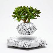 Schwebender Magnetischer Blumentopf mit Dekorativem Sockel - Vasen - Marmor - Voldeva