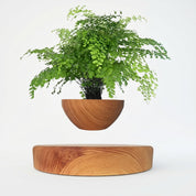 Schwebender Magnetischer Blumentopf mit Dekorativem Sockel - Vasen - Holz - Voldeva