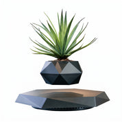 Schwebender Magnetischer Blumentopf mit Dekorativem Sockel - Vasen - Onyx - Voldeva