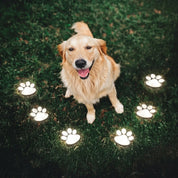 Solar LED - Gartenleuchte mit Pfoten - Design - Gartenbeleuchtung - Farbiges Licht - Voldeva